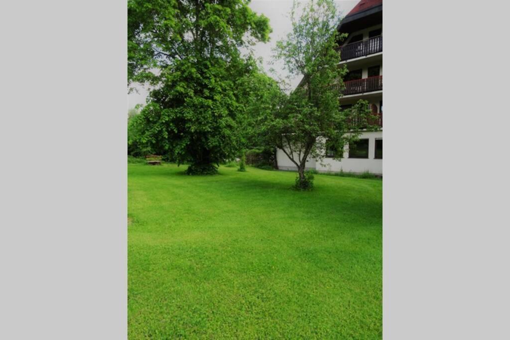 Modernes Apartment Mit Traumhaftem Blick Ins Gruene Bräunlingen Extérieur photo