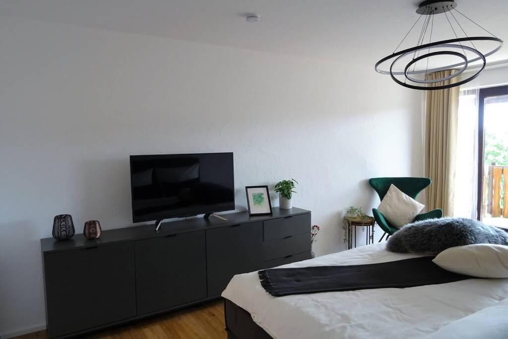 Modernes Apartment Mit Traumhaftem Blick Ins Gruene Bräunlingen Extérieur photo